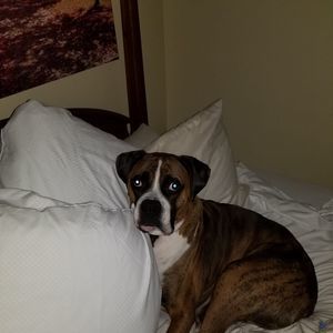 Meet your Posher, Robert